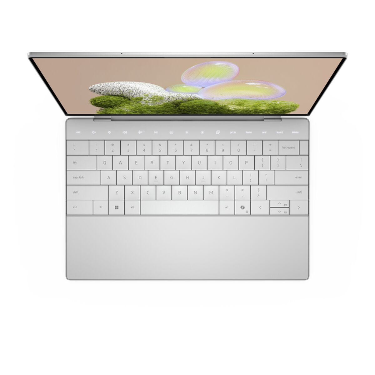 Laptop Dell FMDDY - Planet Store 123