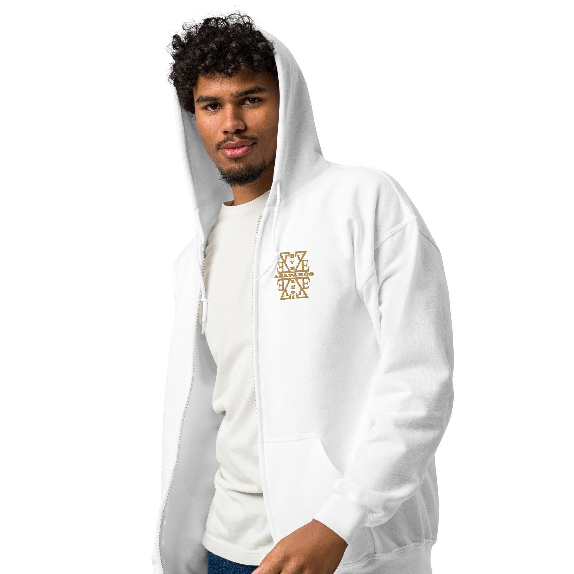 Men's zip hoodie - Planet Store 123