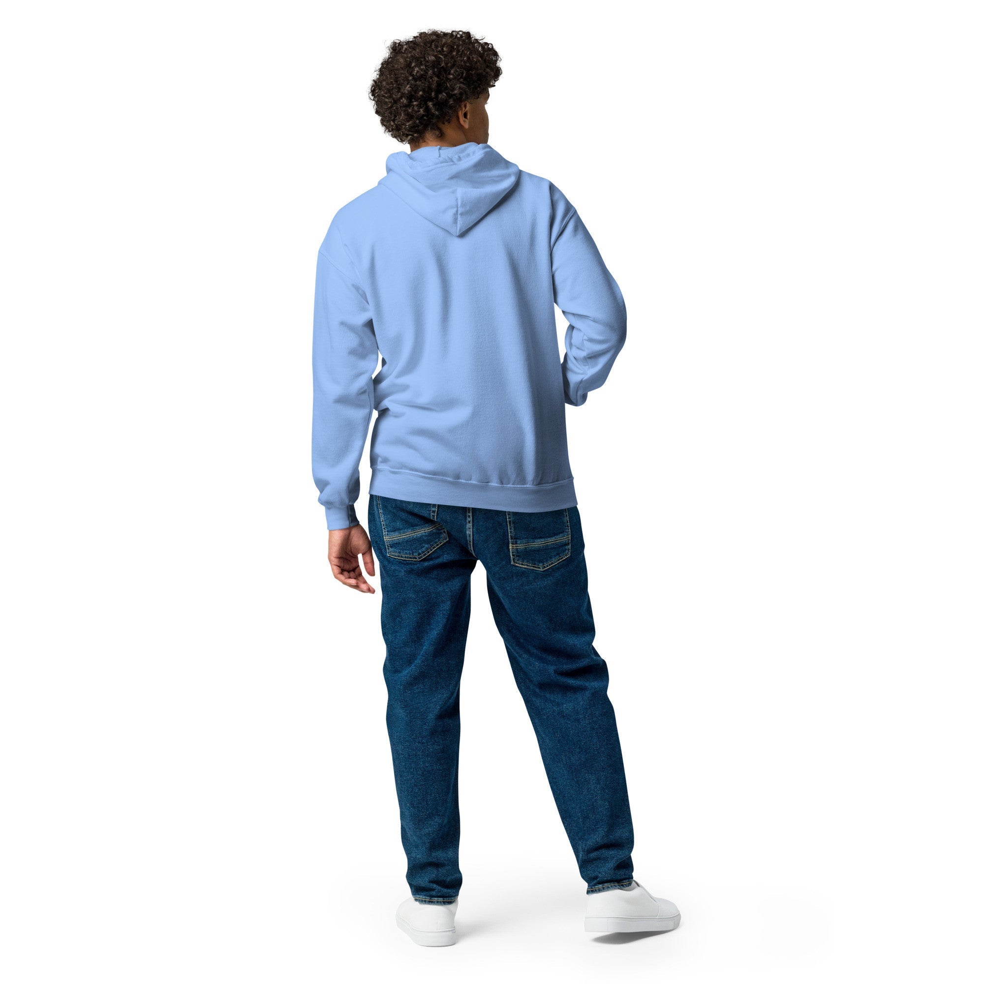 Men's zip hoodie - Planet Store 123